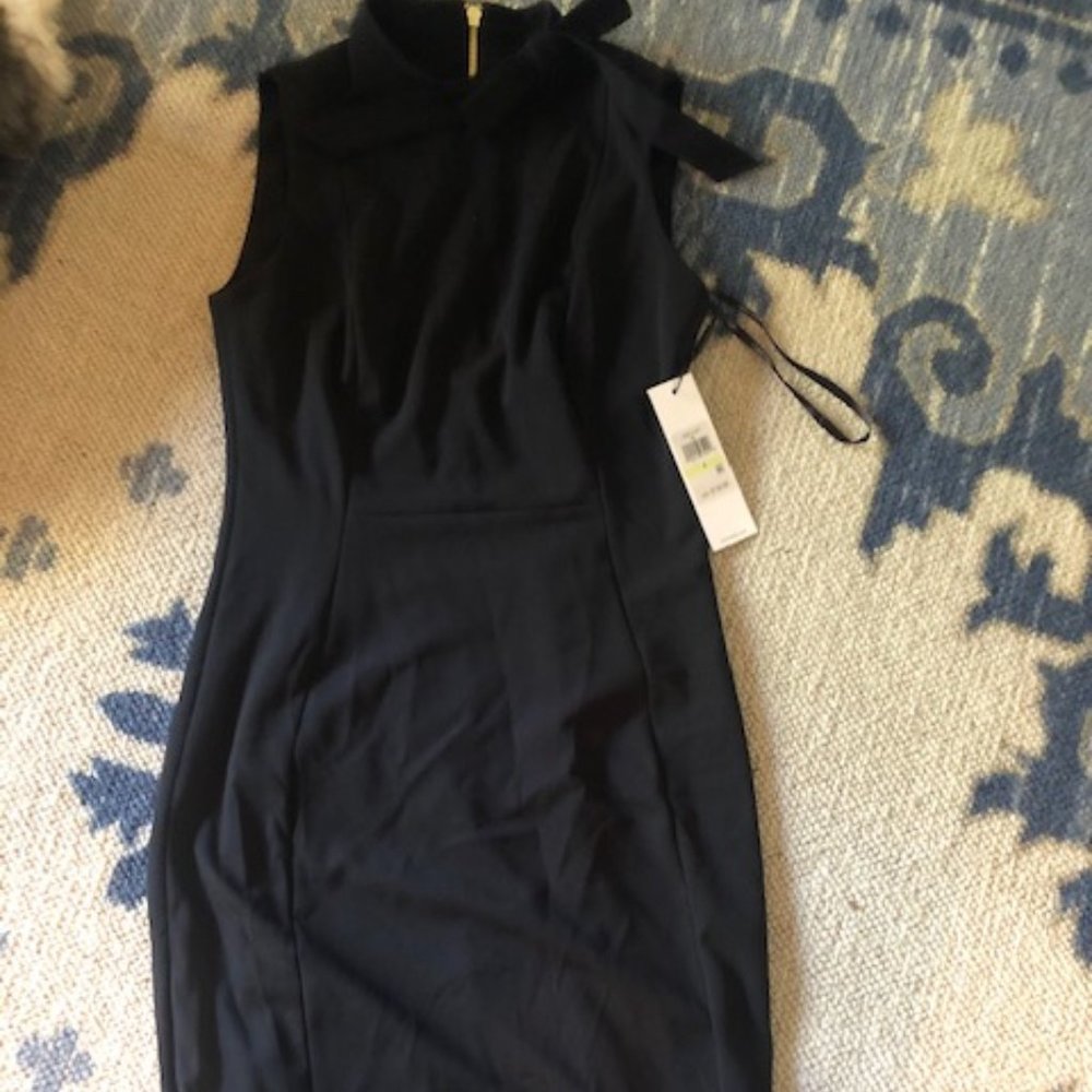 Calvin Klein Tie Neck Dress (New)